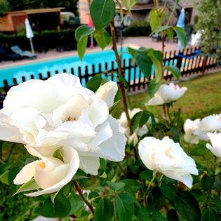 Offerta Ponti di primavera: 25 Aprile e 1 Maggio
